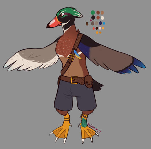 Wood Duck Design
