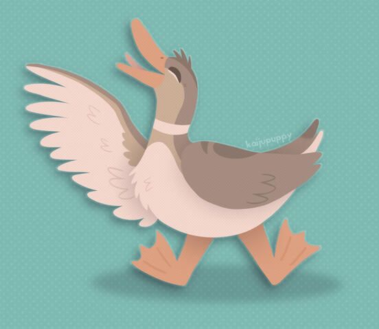 Duck Duck