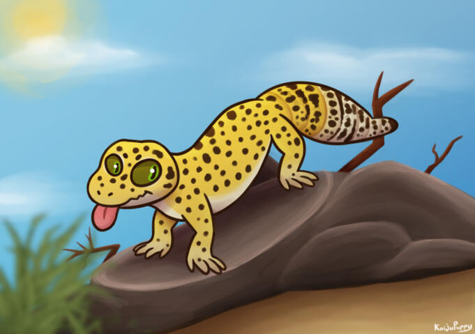 Leopard Gecko