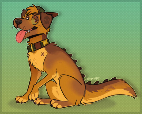 Cool Dog Cool Dog