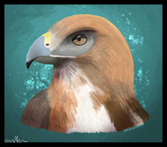 Bird of Prey