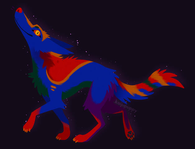 Colourful Canine Colourful Canine
