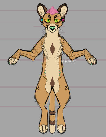 Fossa Sketch Fossa Sketch