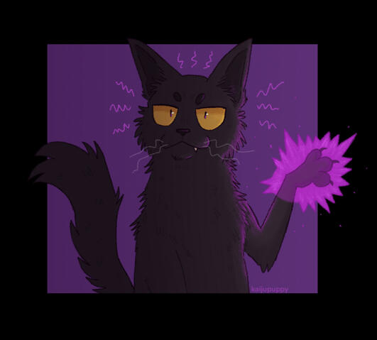 Magic Cat