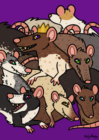 Rat King Rat King