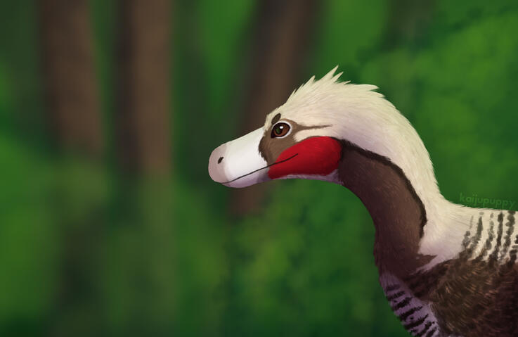Velociraptor Velociraptor
